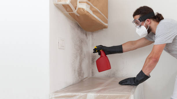 Professional Commercial Mold Remediation technician working in Roosevelt, NY