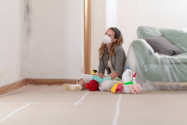 Reliable Commercial Mold Remediation contractor in Roosevelt, NY by WQB Mold Removal